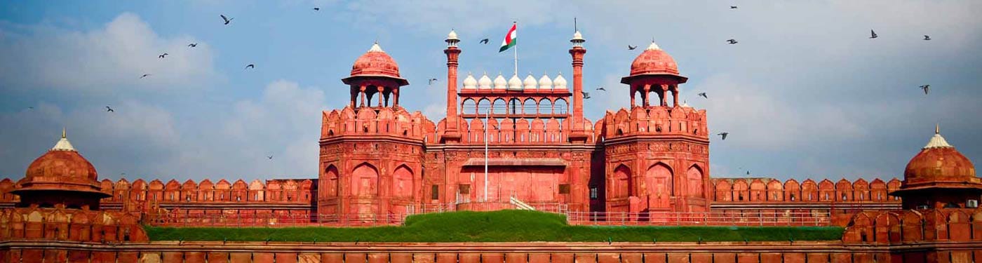 Delhi City Day Tour by private car and driver