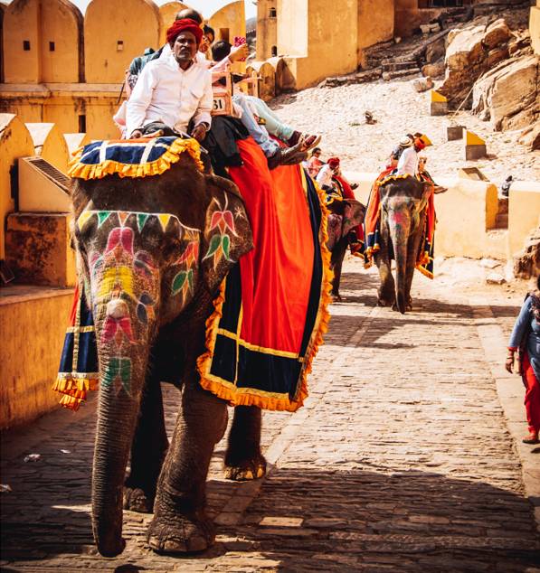 Full Day Sightseeing Tour of Jaipur by Car